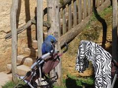 149 BIO PARC DE DOUE LA FONTAINE 6- 2016_000006